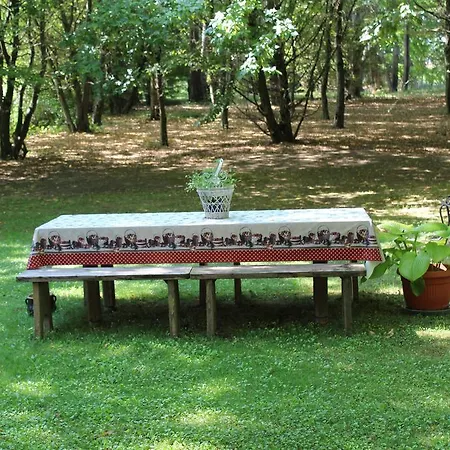 Corte Ginepro Bed & Breakfast Roncoferraro
