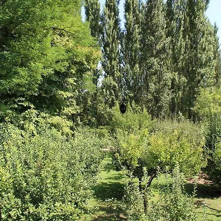 Bed & Breakfast Corte Ginepro Roncoferraro